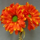 GERBERA LARGE 10.5&quot; BUNDLE X6  ORANGE