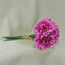 GERBERA MEDIUM 10.5&quot; BUNDLE X6  FUCHSIA