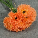 MUM ASTER 10" BUNDLE X6  PEACH