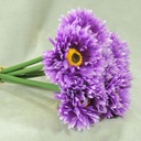 MUM ASTER 10" BUNDLE X6  PURPLE