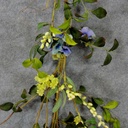 GARLAND-HYDRANGEA//BLOS/BERY 5'