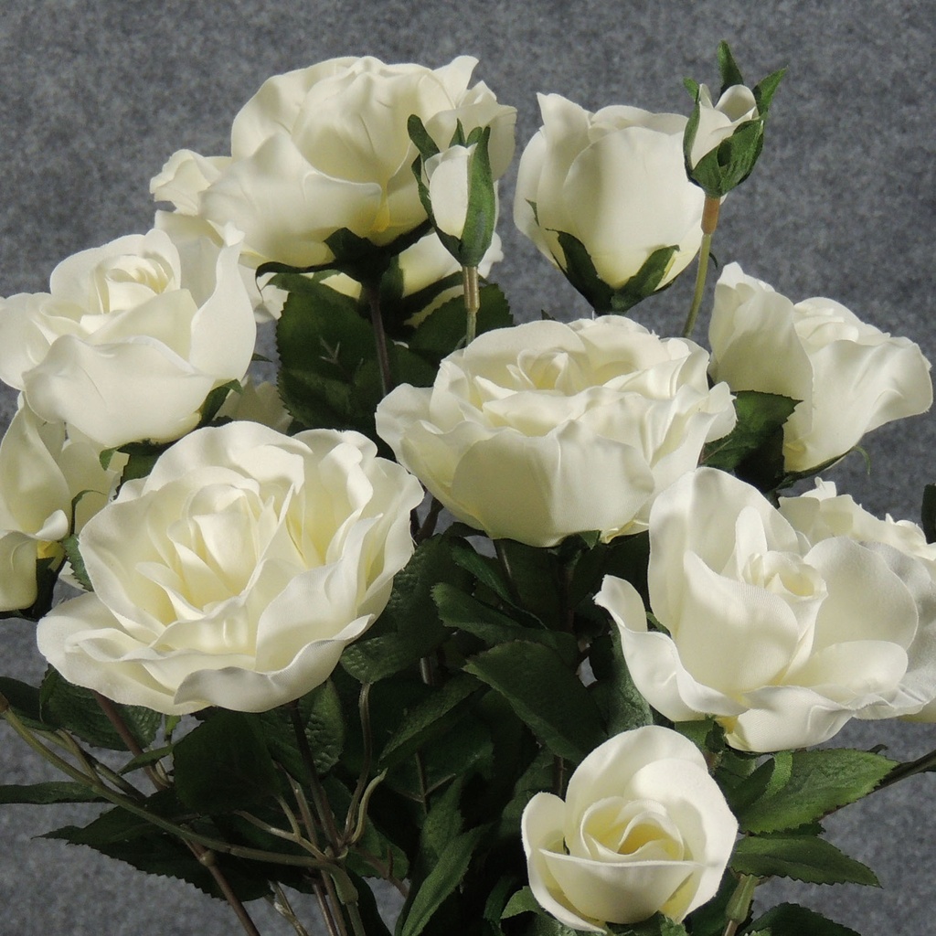 ROSE 21" w/BUD BUSH X 12 WHITE