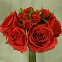 ROSE NOSEGAY/STANDING BOUQUET  BRIGHT RED