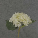 HYDRANGEA STEM w/ 2 LVS 19"  CREAM/WHITE