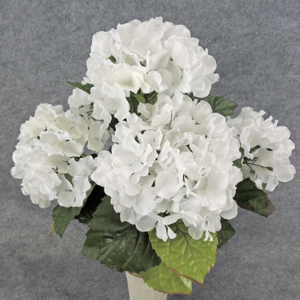 HYDRANGEA BUSH X5    WHITE