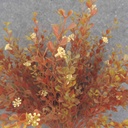 MINI BOXWOOD BUSH X7 15" (O.D.) AUTUMN MIX