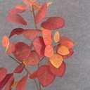 LEAF SPRAY X3 33" RED/ORANGE