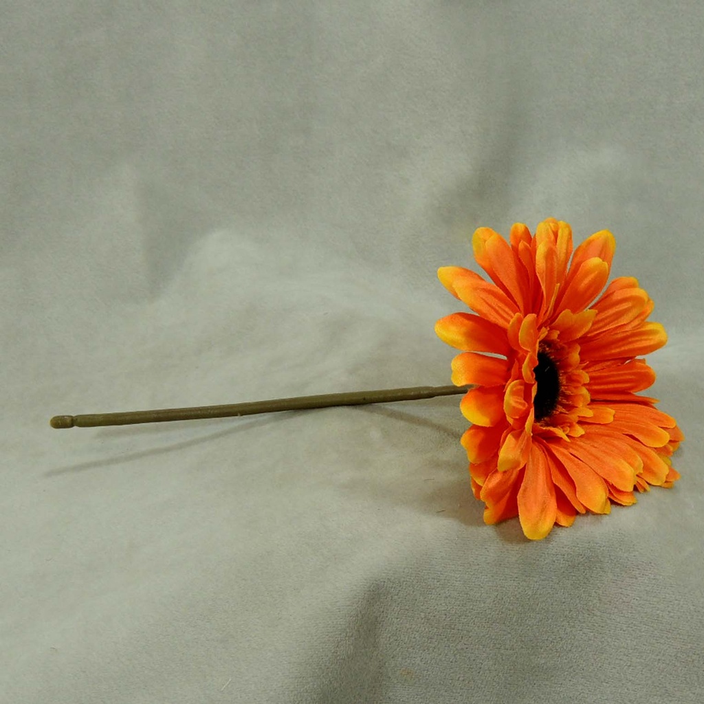 GERBERA SHORT STEM  ORANGE