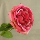 ROSE ENGLISH SPRAY X3  24"  BEAUTY