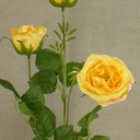 ROSE ENGLISH SPRAY X3  24"  YELLOW