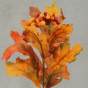 OAK LEAVES PICK 12" (12/BAG)