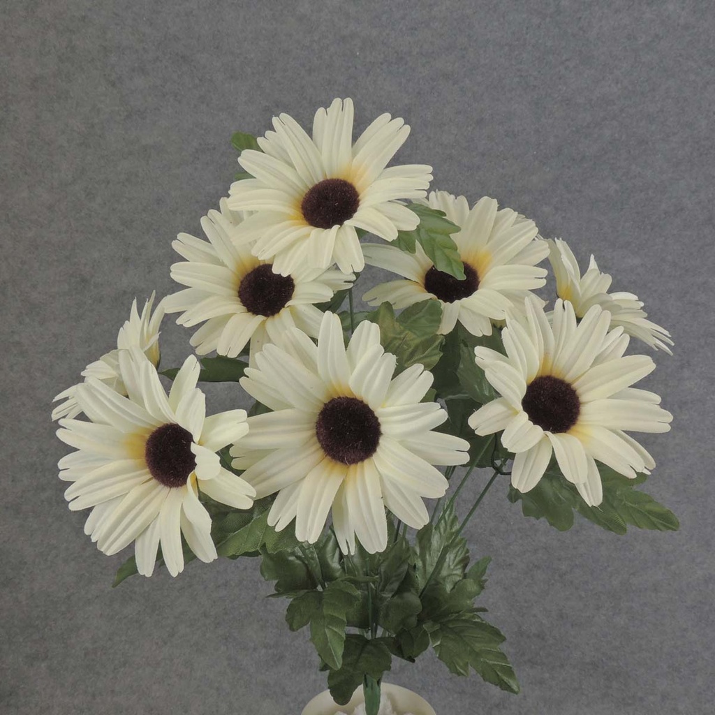 DAISY LARGE BUSH X12 18"