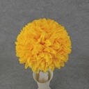 FOOTBALL MUM PICK 12" (8" BLM)  GOLDEN YELLOW