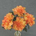 DAHLIA BUSH X7 20" 5" BLMS  PEACH