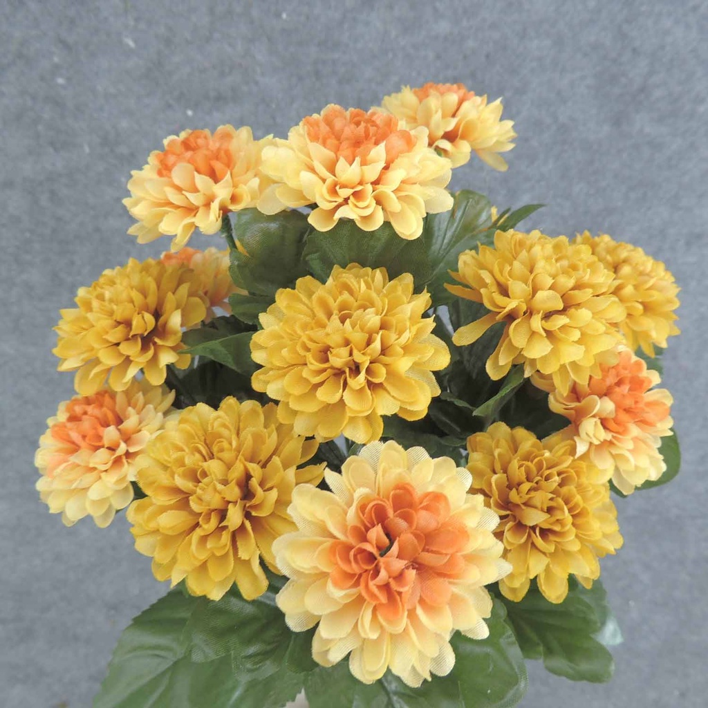 MUM (POM POM) BUSH X18  14"  GOLDEN YELLOW