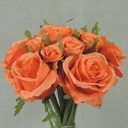 ROSE NOSEGAY/STANDING BOUQUET  ORANGE