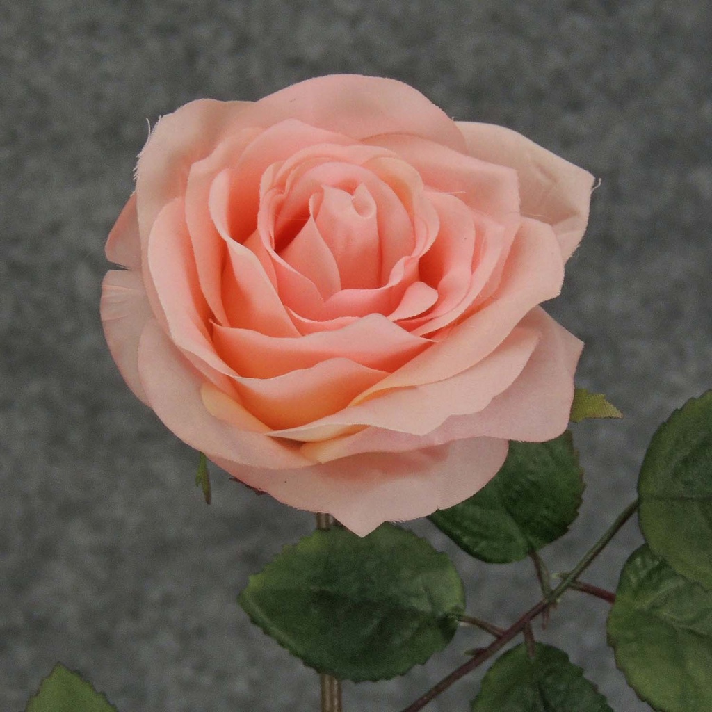 ROSE STEM  LARGE OPEN 26"  PINK