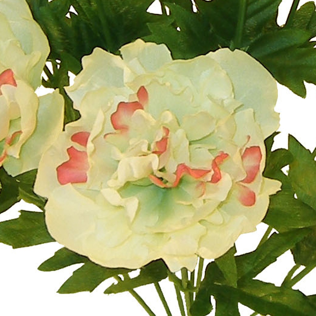 PEONY BUSH X10 19" CREAM/GREEN