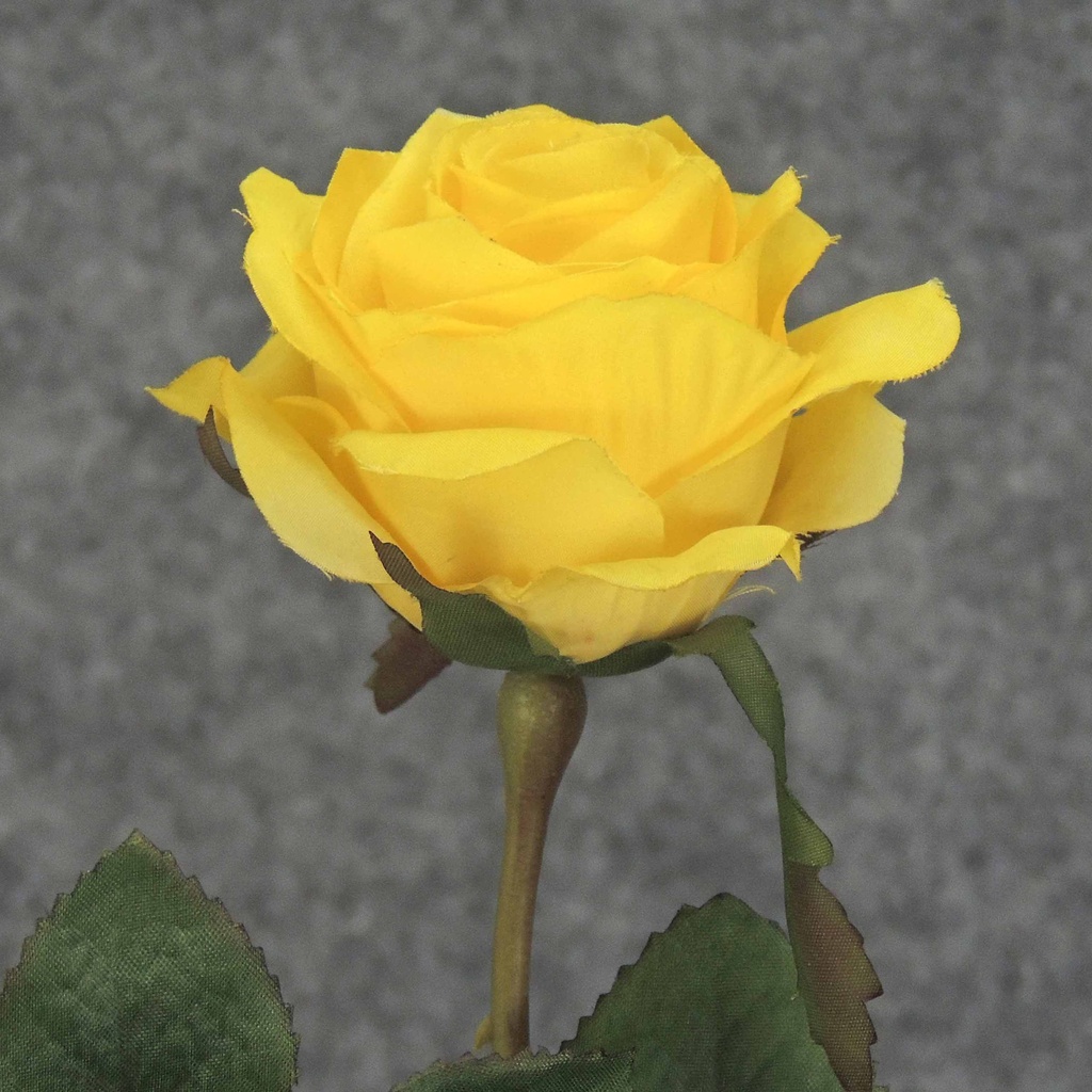 ROSE STEM  LARGE OPEN 26"  YELLOW