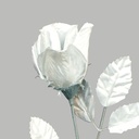 ROSE STEM   BUD SILVER  (1 DZ/BAG) 