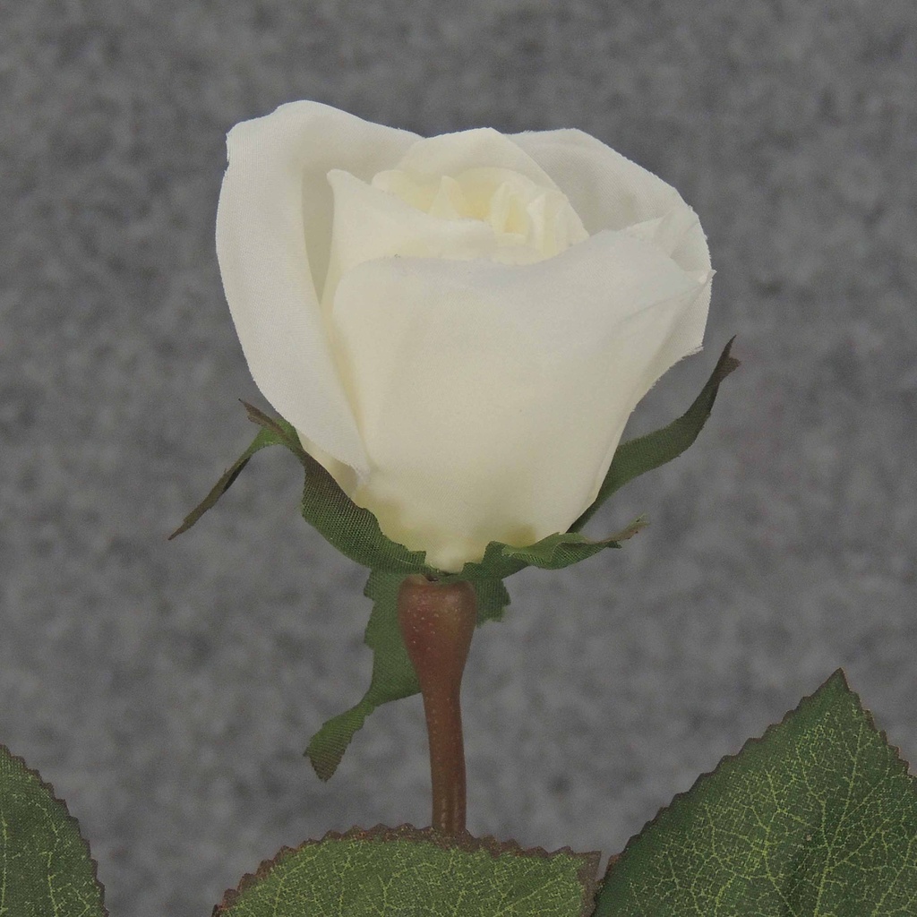 ROSE STEM LARGE BUD 26"  CREAM/WHITE