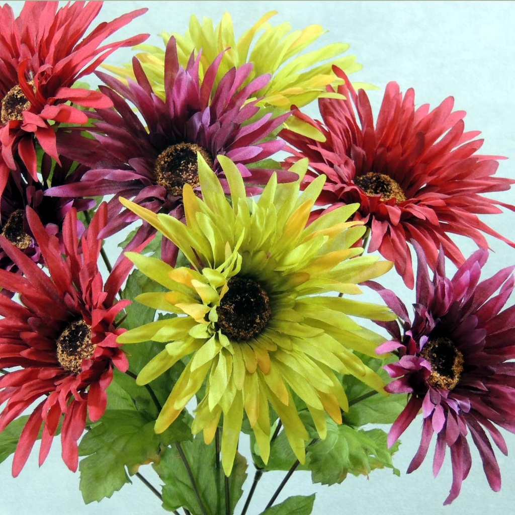 GERBERA LARGE DAISY BUSH X9 17"