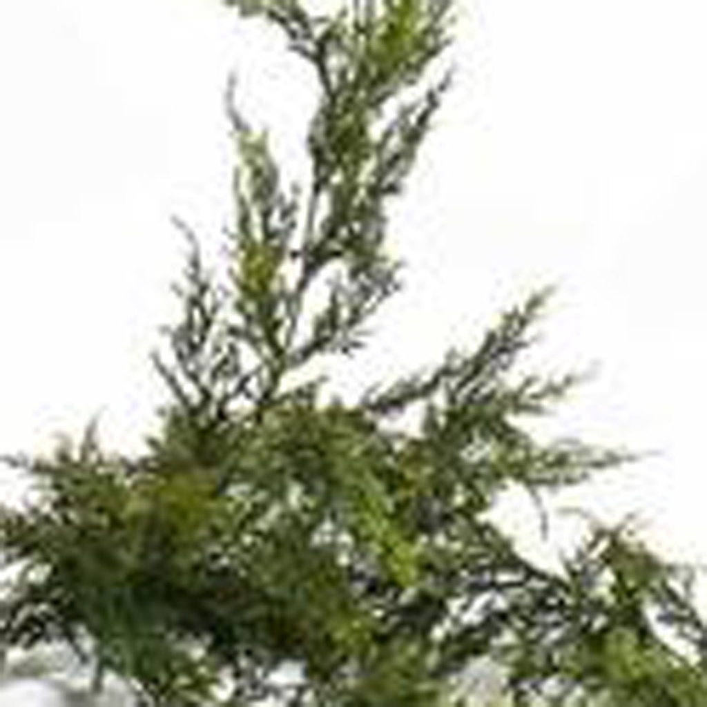 GARLAND PINE POLY 6' TT GREEN  TWO-TONED GREEN