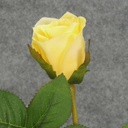 ROSE STEM LARGE BUD 26"  LIGHT YELLOW