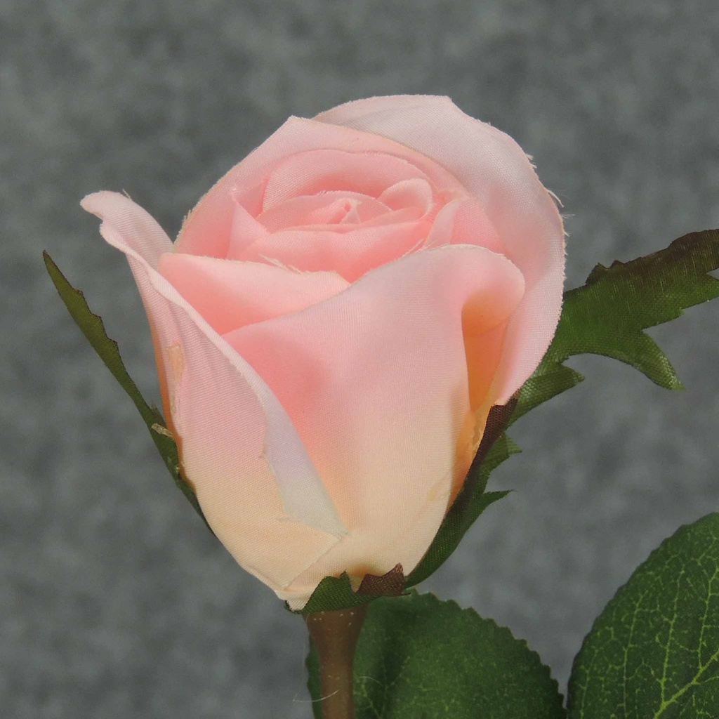 ROSE STEM LARGE BUD 26"  PINK