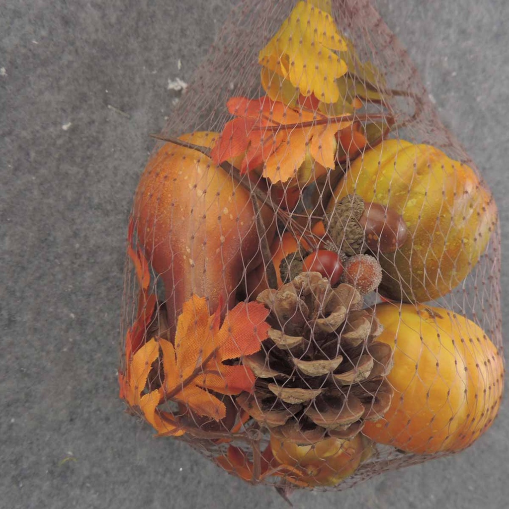 PINECONE/ACORN/LEAF IN BAG W/LARGE PUMPKINS