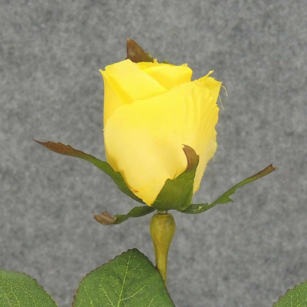 ROSE STEM LARGE BUD 26"  YELLOW