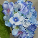 HYDRANGEA SATIN (3/BUNDLE)  BLUE