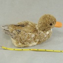 DUCK 8" X 4.5" SISAL  BROWN