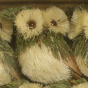 OWL 2.5" SISAL (6/WINDOW BOX)  GREEN