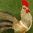 ROOSTER 17&quot; SISAL STANDING