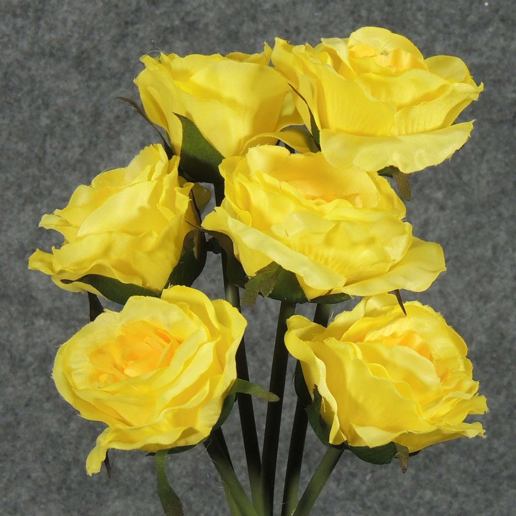 ROSE OPEN 14" BUNDLE X6 YELLOW