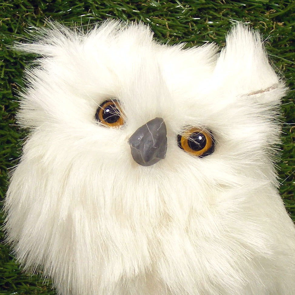 OWL 7"     WHITE