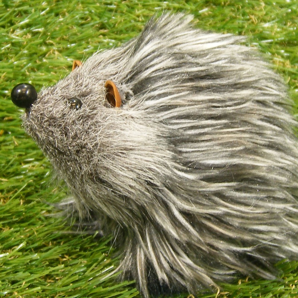 HEDGEHOG 3.25&quot; X 4&quot;