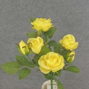 ROSE SPRAY X7  14" YELLOW