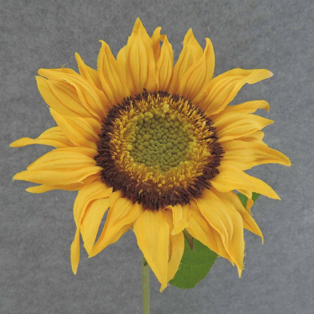 SUNFLOWER 30" SPRAY 8" BLOOM YELLOW