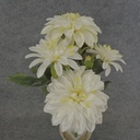 DAHLIA SPRAY X7 15.5"  CREAM/WHITE