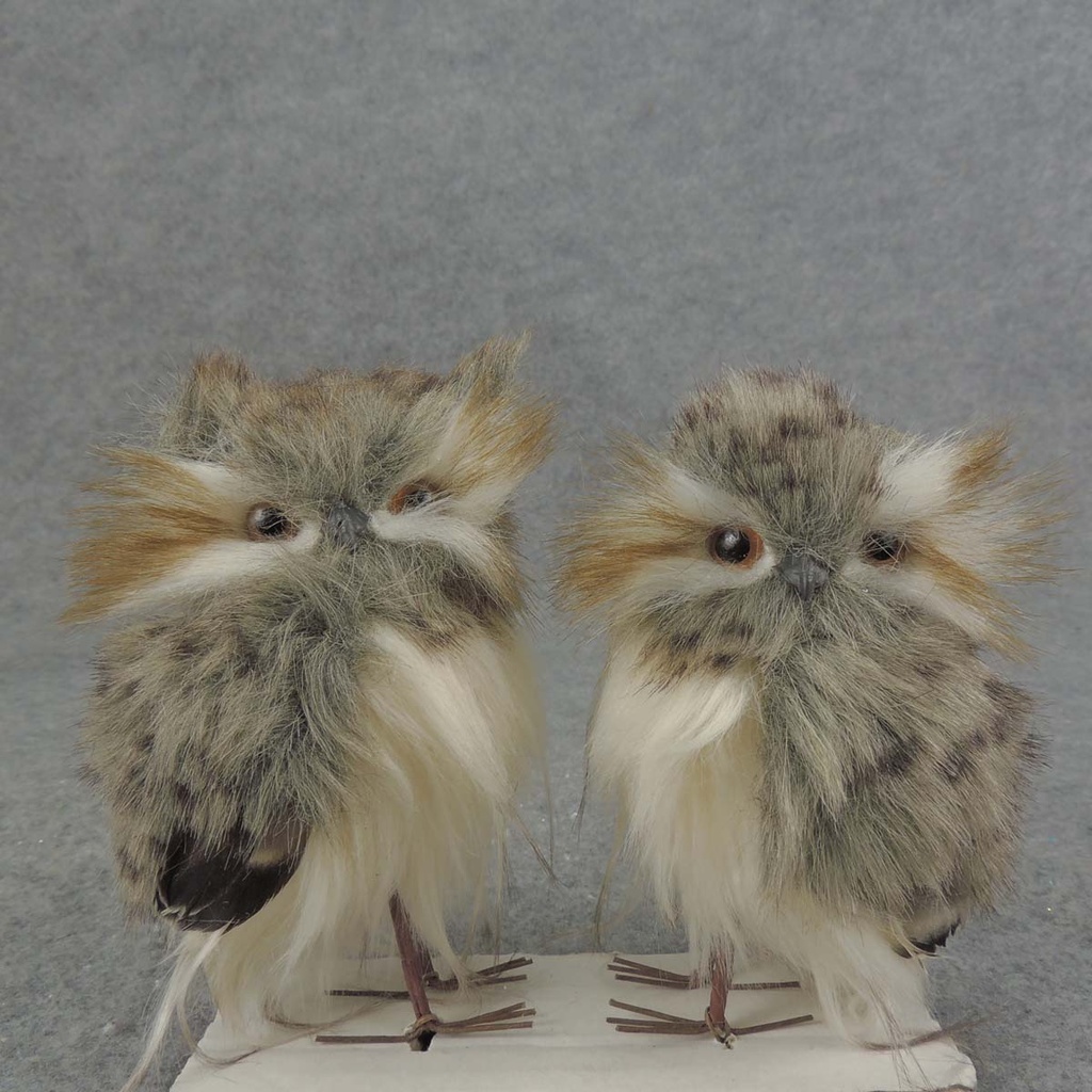 OWL PAIR 5" BROWN