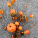 BERRY/ACORN/PUMPKIN PICK 10" (6/BAG)   ORANGE