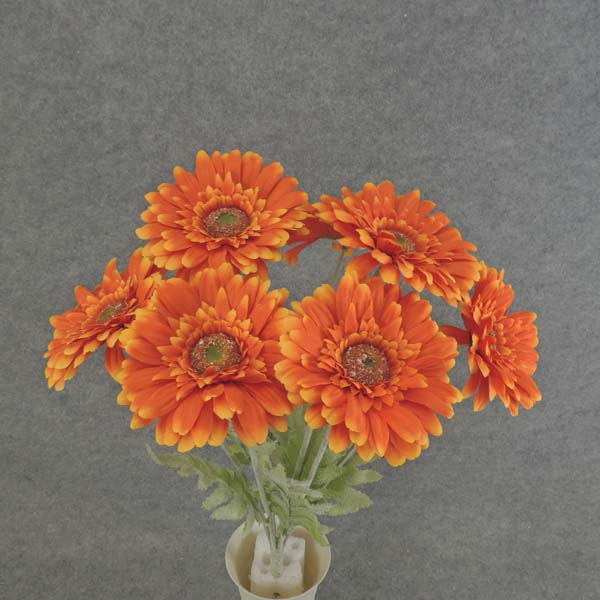 GERBERA DAISY BUSH X8 FLK/STEM 18" ORANGE