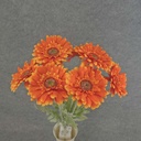 GERBERA DAISY BUSH X8 FLK/STEM 18" ORANGE