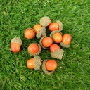 ACORNS IN BAG 1&quot; (1 DZ/BAG)  ORANGE