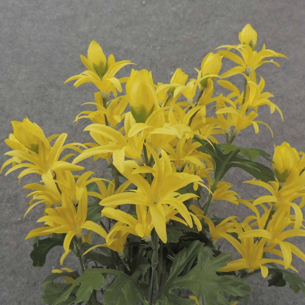 LILY MINI BUSH YELLOW