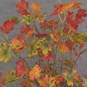 MINI MAPLE LEAF BUSH X6 RED/ORANGE/GREEN