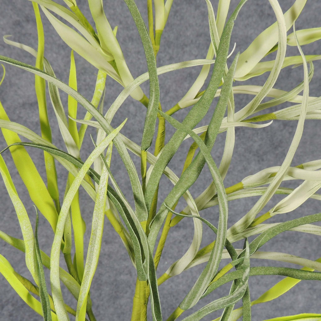 WILD GRASS SPRAY 30" (EVA)