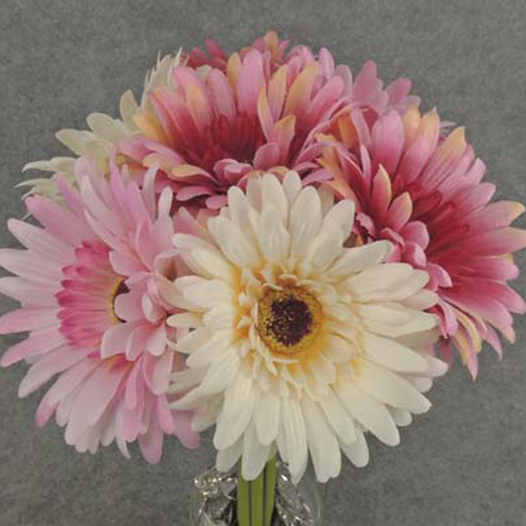 GERBERA BUNDLE X7  12"  PINK/BEAUTY/BEIGE